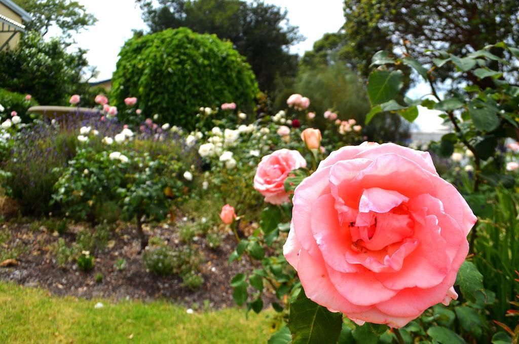 Dunmoylen House Bed and Breakfast Albany Rum bild